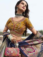 Multicolor Banarasi Silk Lehenga Choli